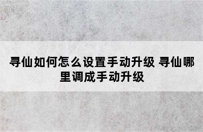 寻仙如何怎么设置手动升级 寻仙哪里调成手动升级